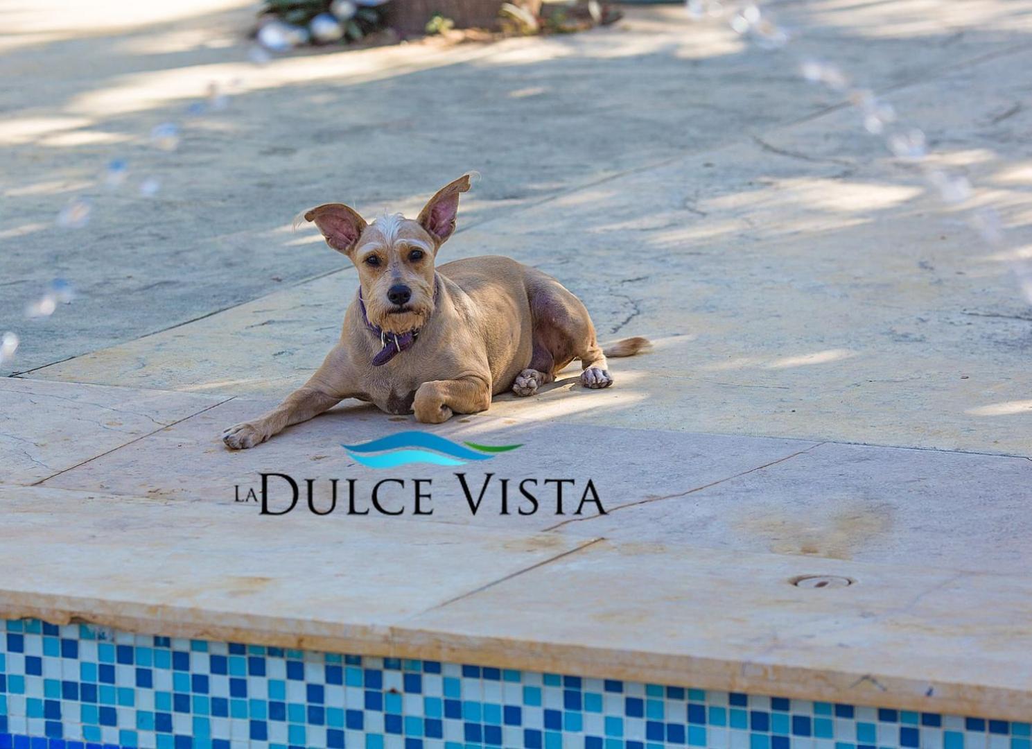 La Dulce Vista Hotel & Villas - Sierra Madre Puerto Vallarta Luaran gambar