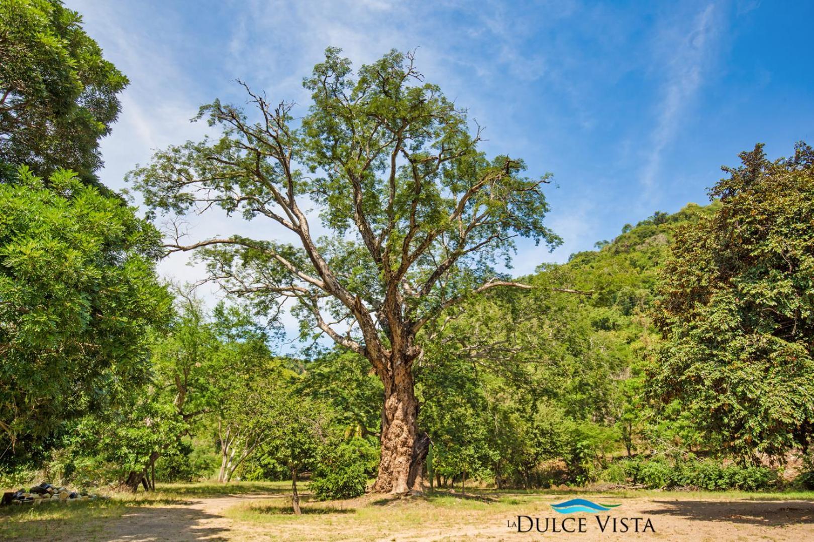 La Dulce Vista Hotel & Villas - Sierra Madre Puerto Vallarta Luaran gambar